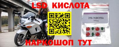 спиды Бийск