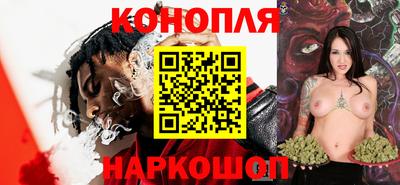 спиды Бийск